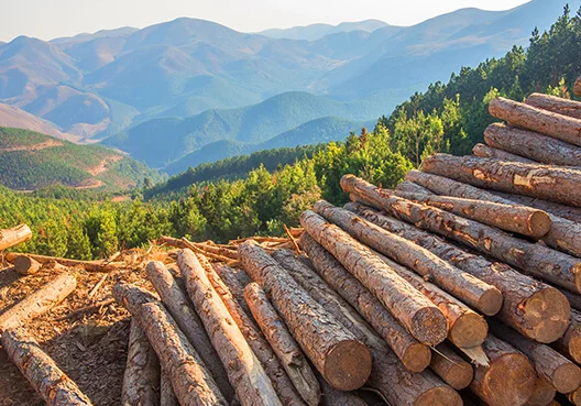 Responsible Business