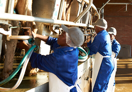 Sponsorships img left