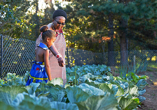 The Secret of the Elephant